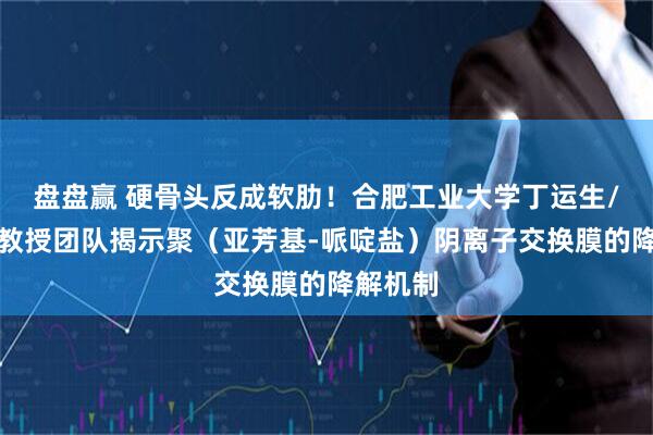 盘盘赢 硬骨头反成软肋！合肥工业大学丁运生/魏海兵教授团队揭示聚（亚芳基-哌啶盐）阴离子交换膜的降解机制