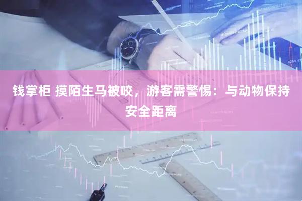 钱掌柜 摸陌生马被咬，游客需警惕：与动物保持安全距离