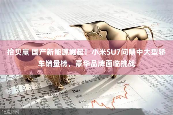 拾贝赢 国产新能源崛起！小米SU7问鼎中大型轿车销量榜，豪华品牌面临挑战