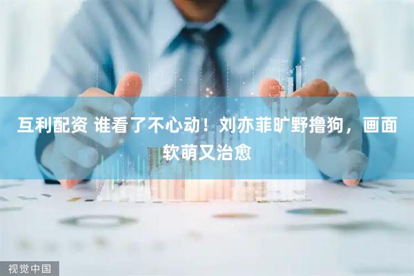 互利配资 谁看了不心动！刘亦菲旷野撸狗，画面软萌又治愈